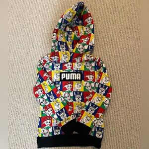 Puma Multicolor Graphic Hoodie